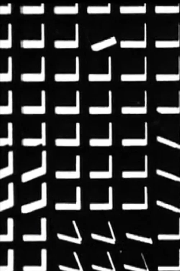 Vasarely