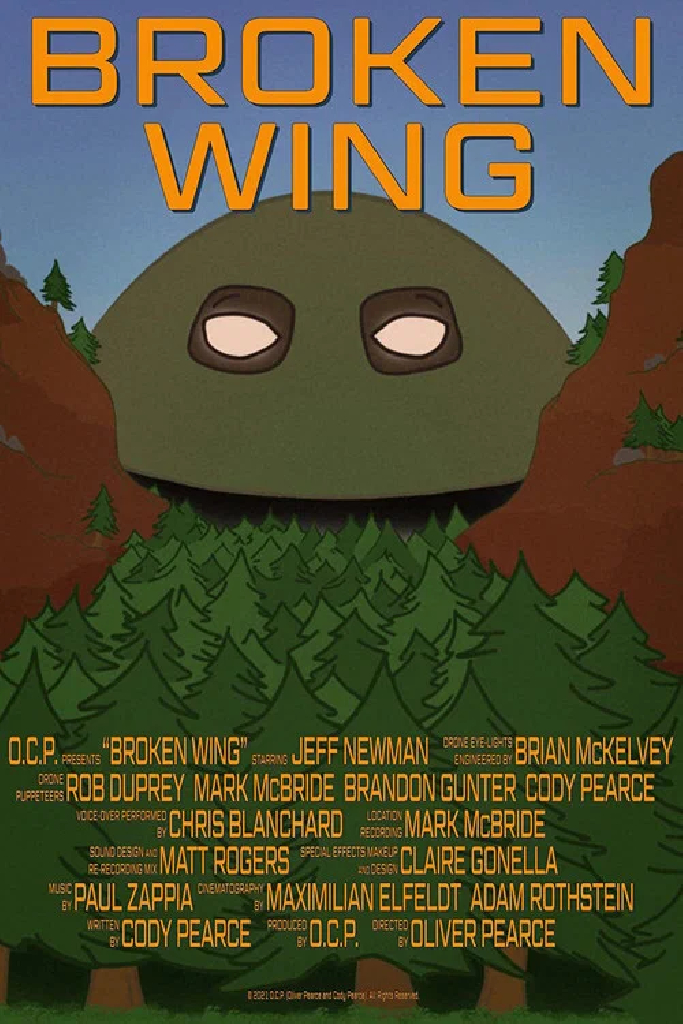 Broken Wing