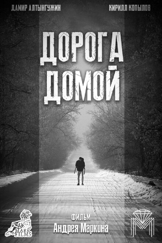 Дорога домой