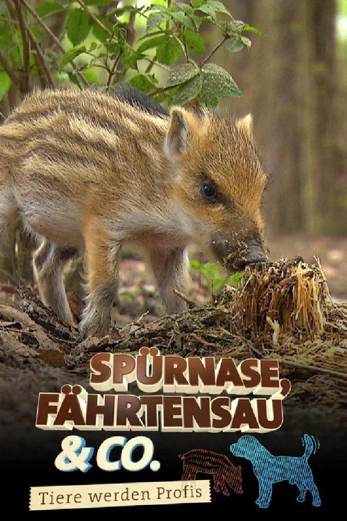 Нюхач, Следопыт и компания