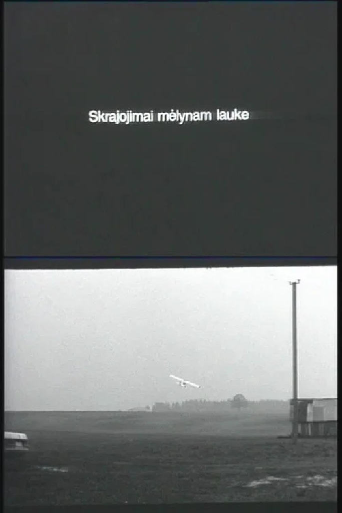 Полет над синими полями