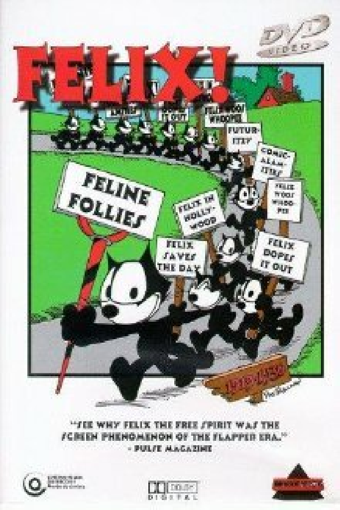 Feline Follies