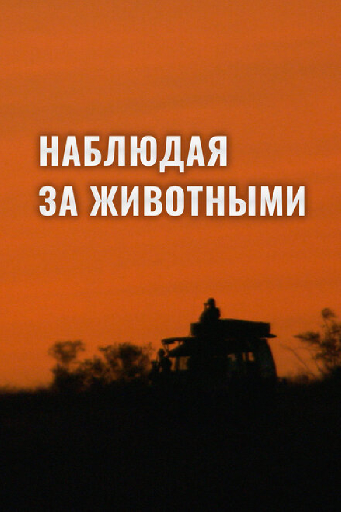Наблюдая за животными