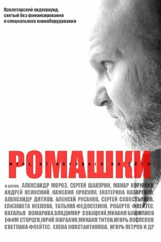 Ромашки