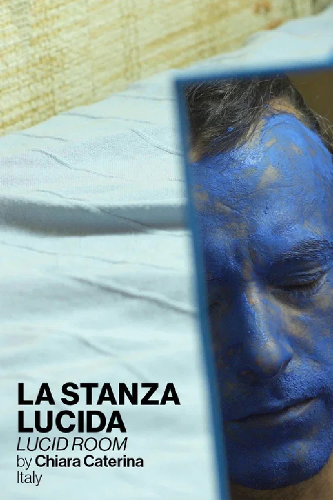 La stanza lucida