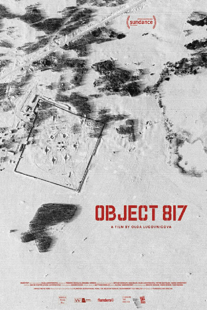 Объект 817