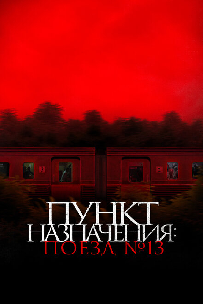Пункт назначения: Поезд № 13