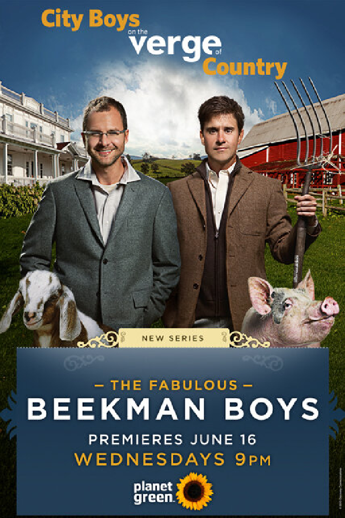 The Fabulous Beekman Boys