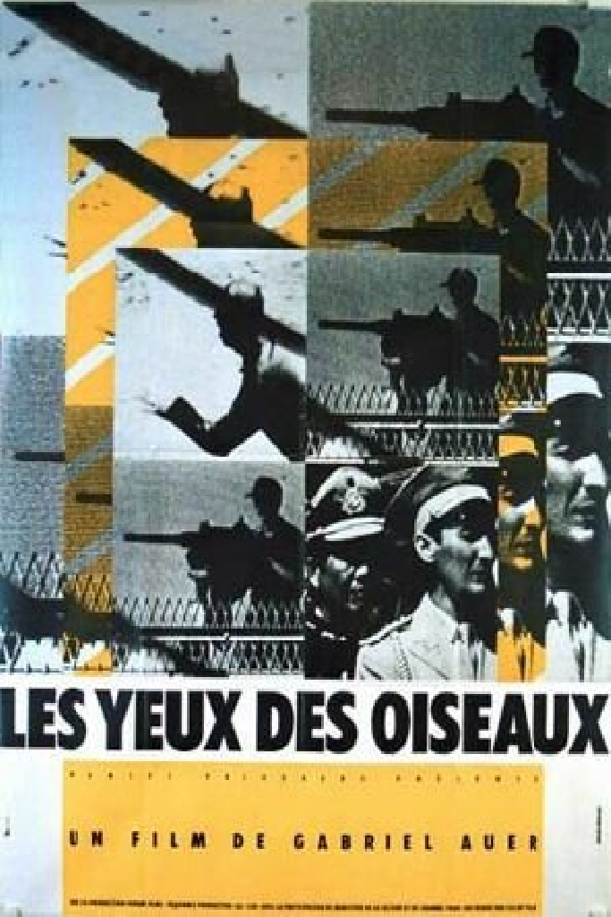 Les yeux des oiseaux