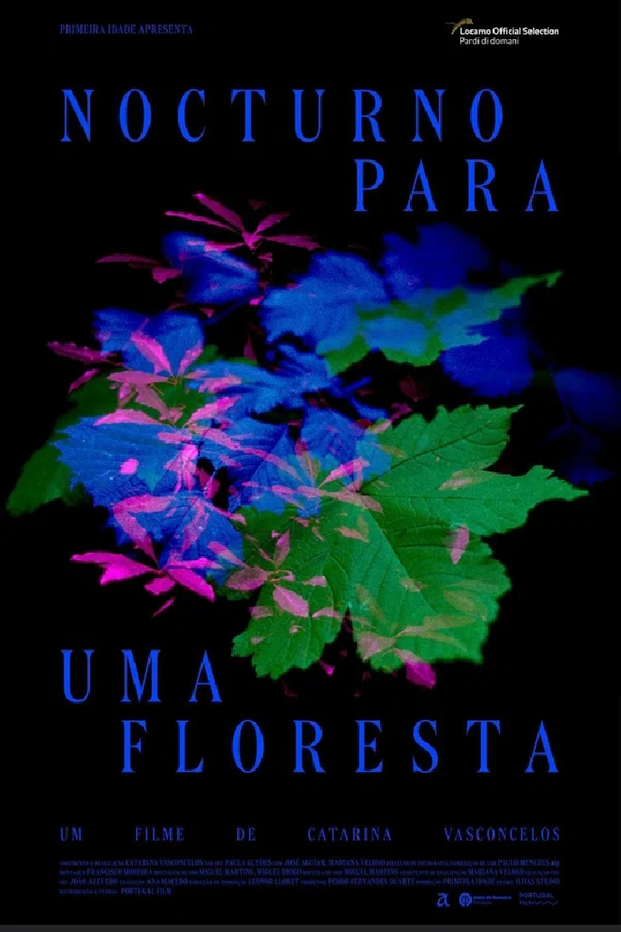 Nocturno para uma floresta