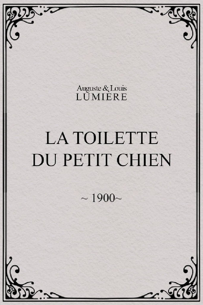 La toilette du petit chien