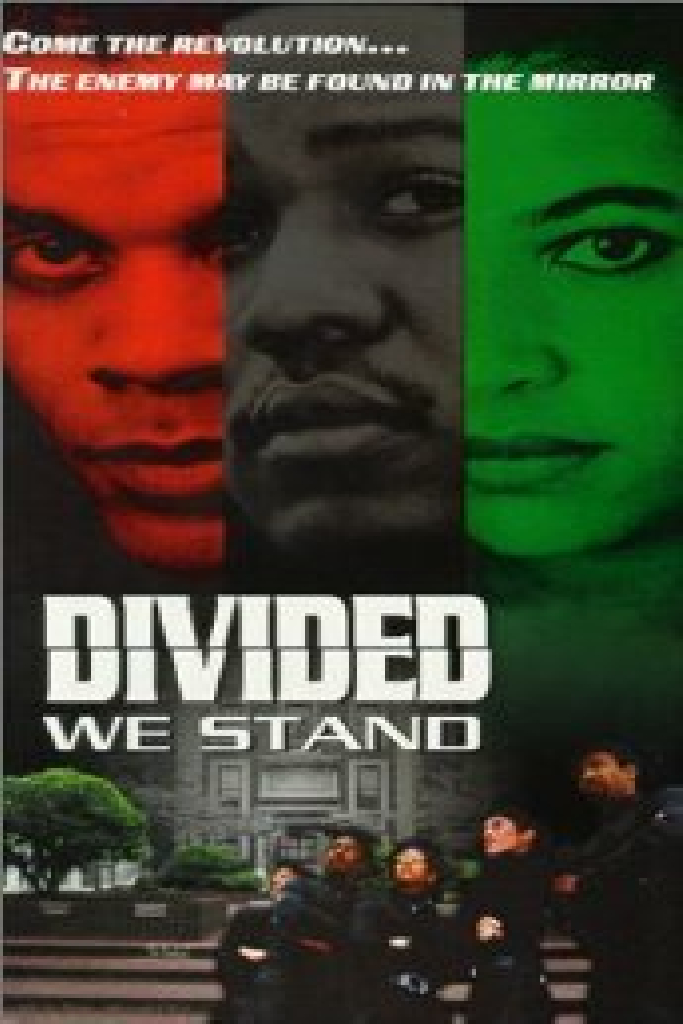 Divided We Stand