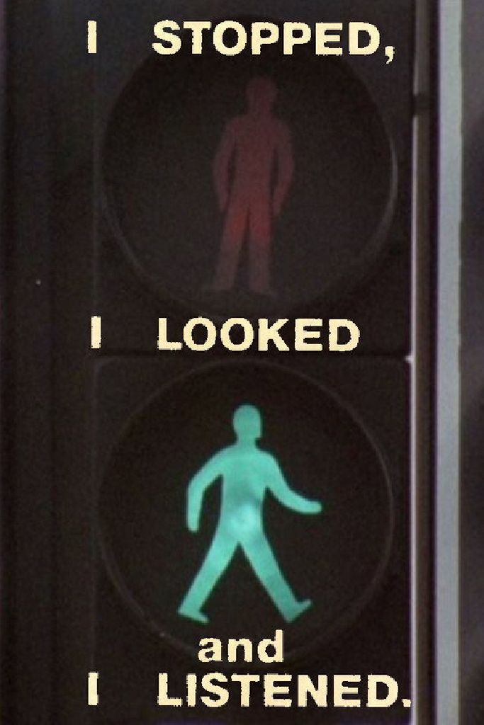 I Stopped, I Looked and I Listened