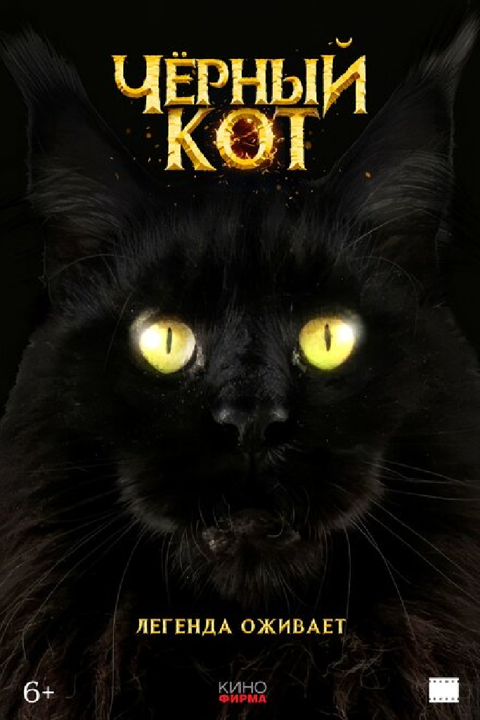 Черный кот