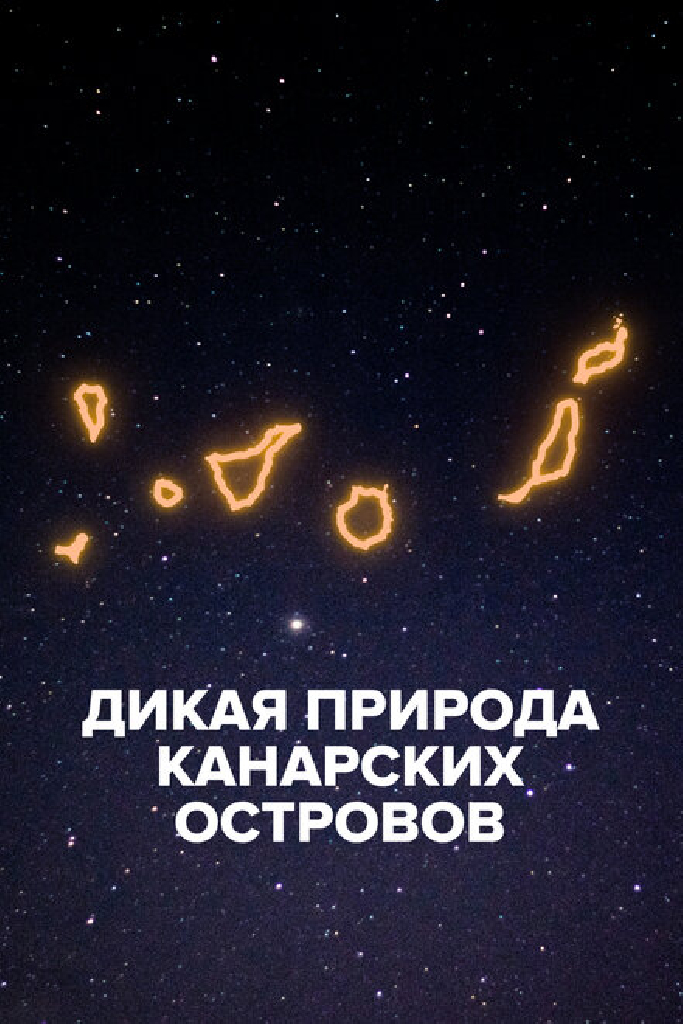 Дикая природа Канарских островов