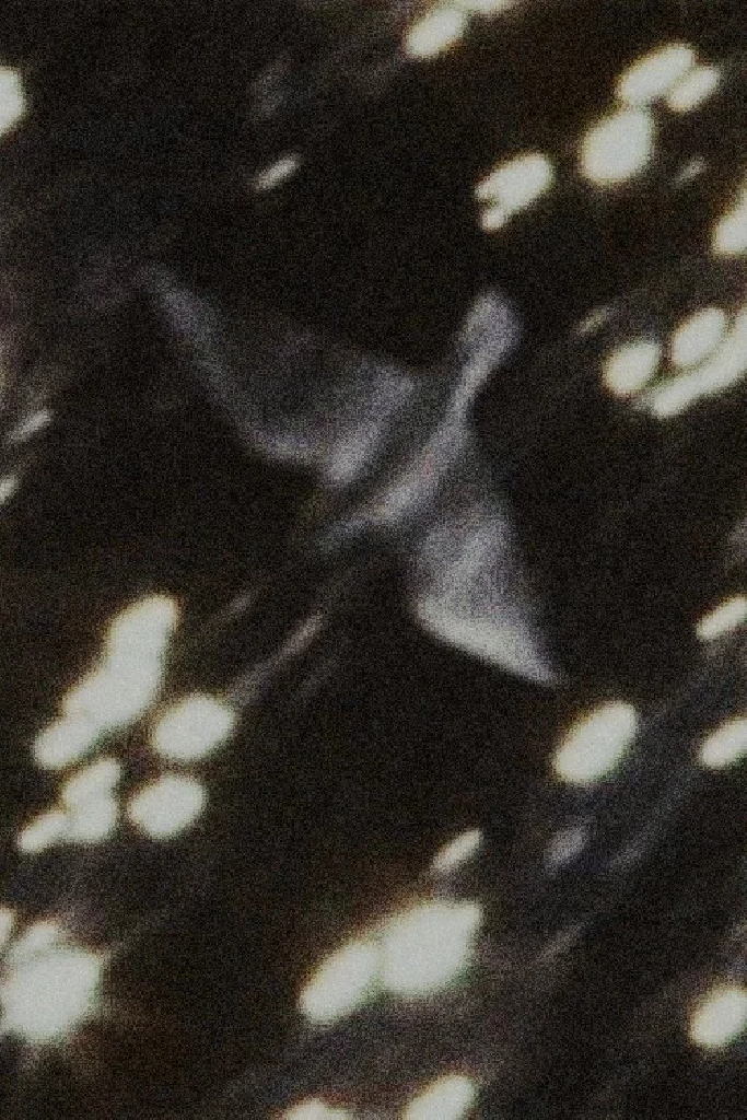 Мир