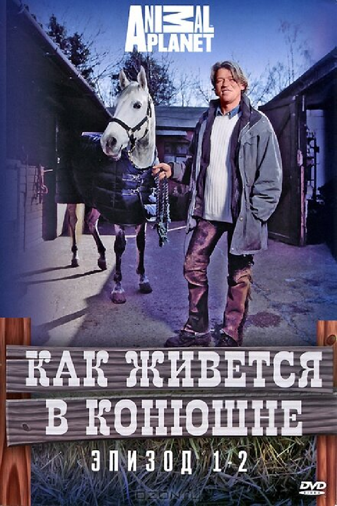Как живется в конюшне