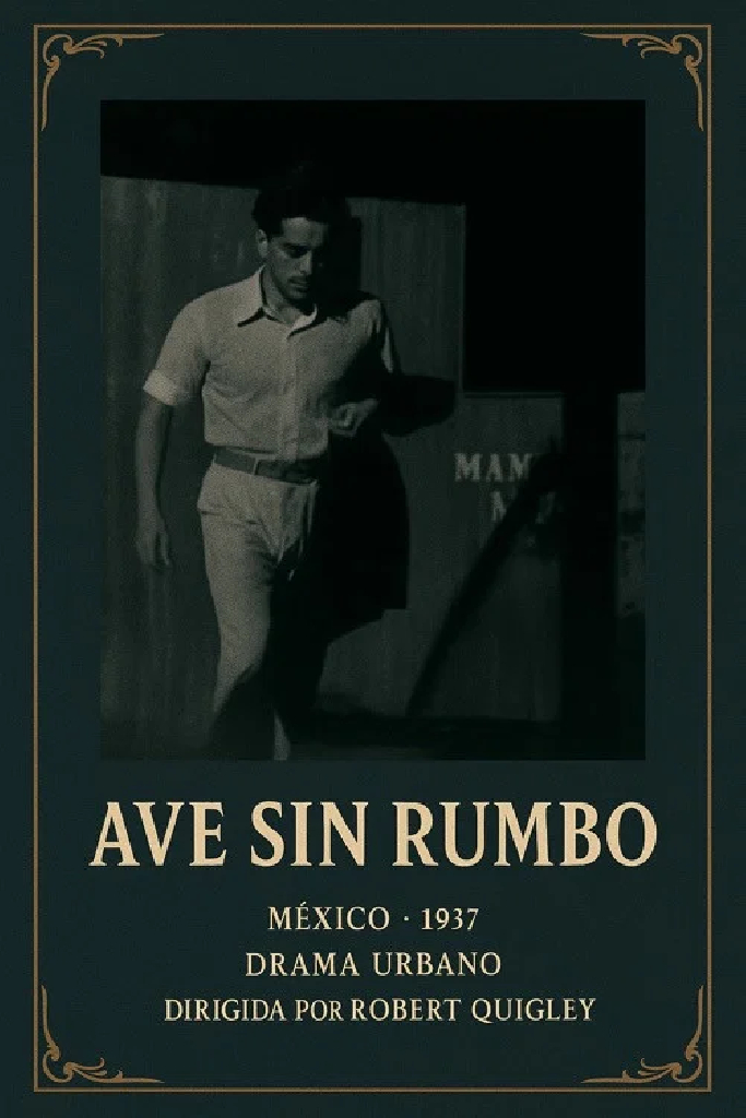 Ave sin rumbo