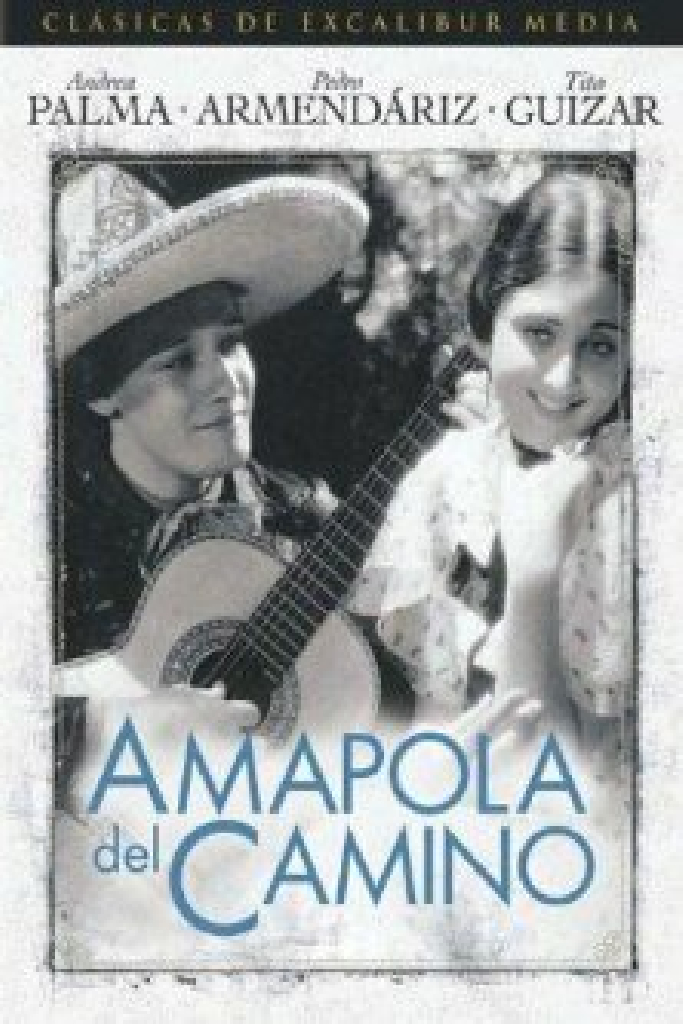 Amapola Del Camino