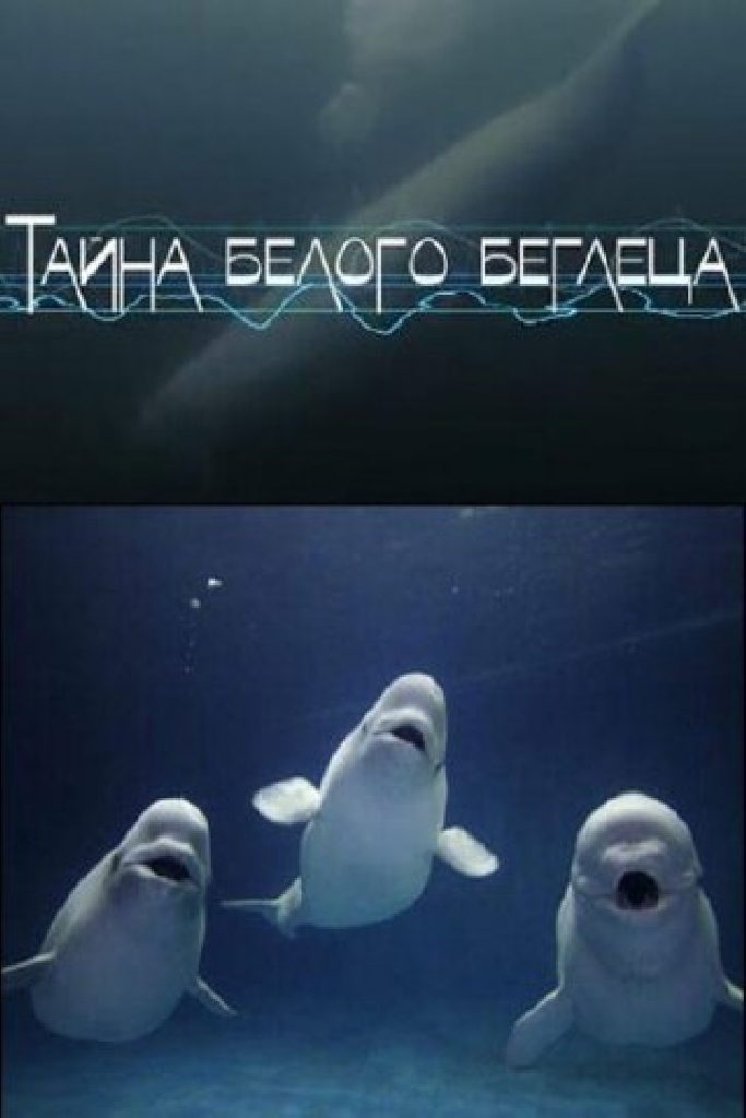 Тайна белого беглеца