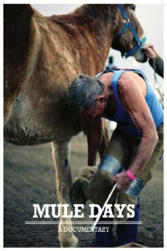 Mule Days