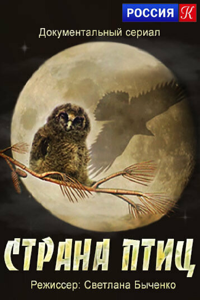 Страна птиц