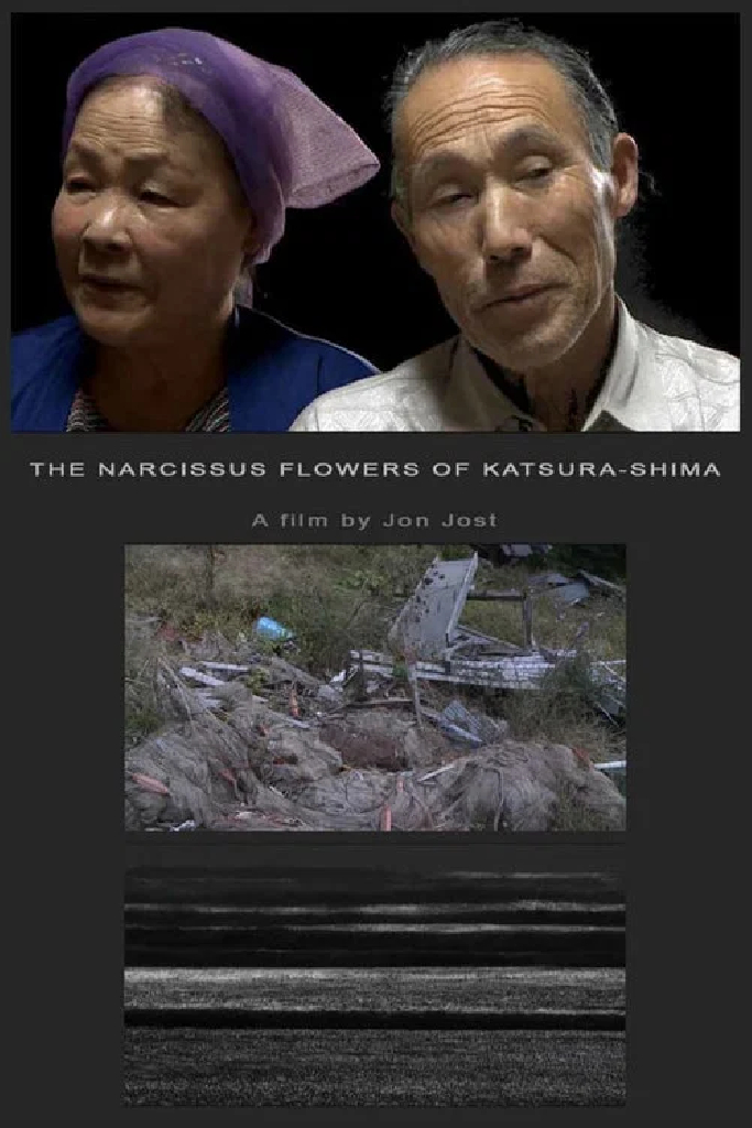 The Narcissus Flowers of Katsura-shima