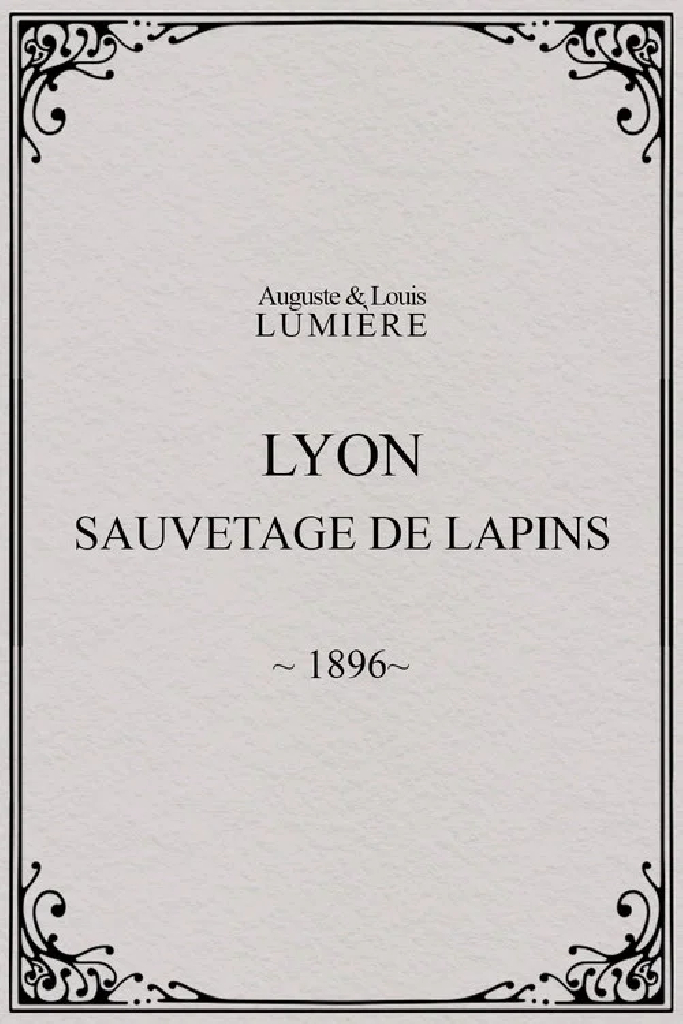 Lyon : sauvetage de lapins