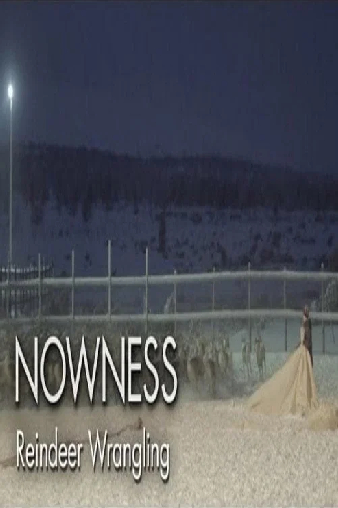 Untold Odyssey: Reindeer Wrangling