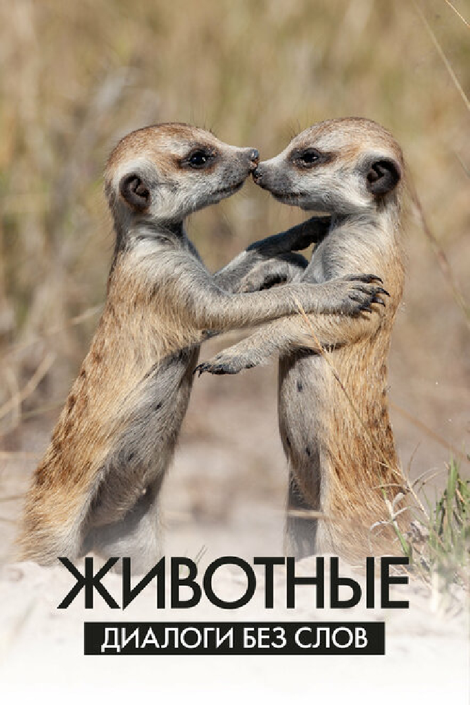 Животные: Диалоги без слов