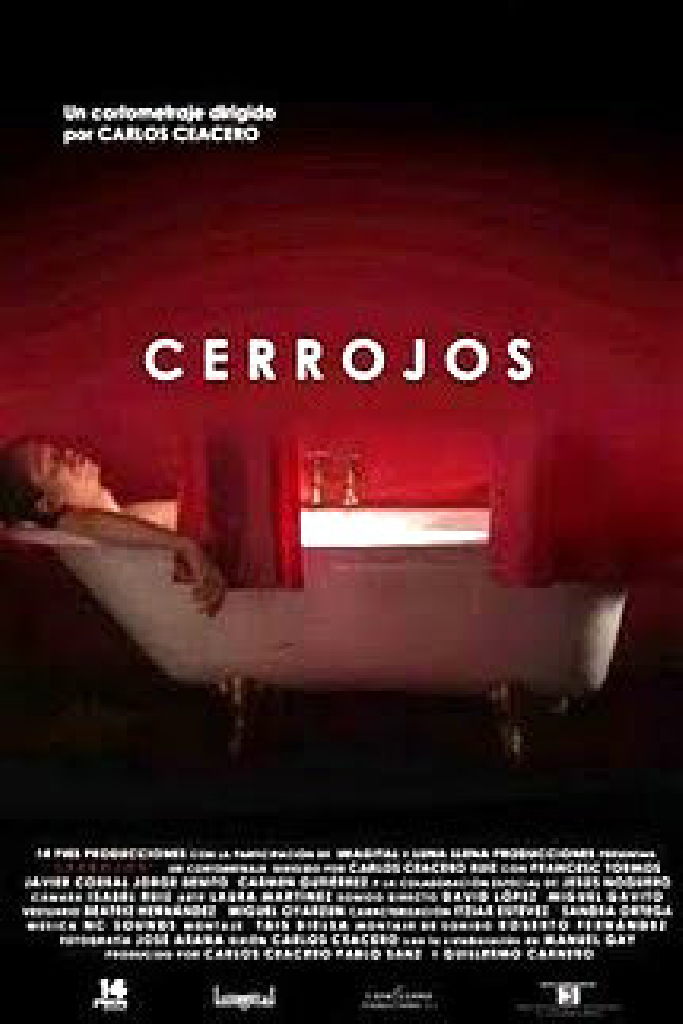 Cerrojos