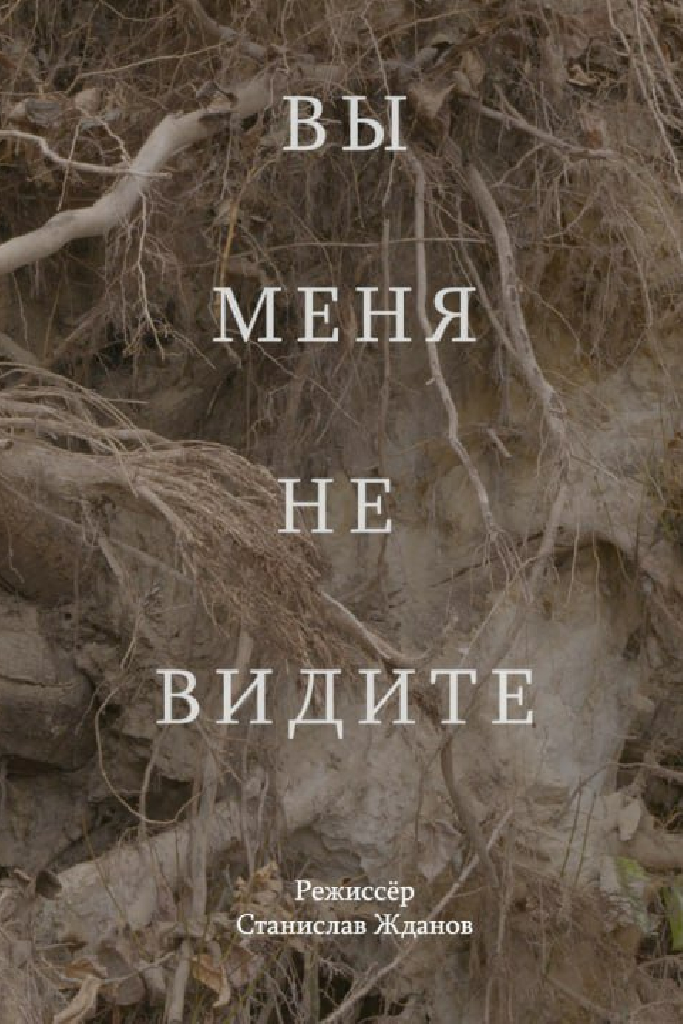 Вы меня не видите