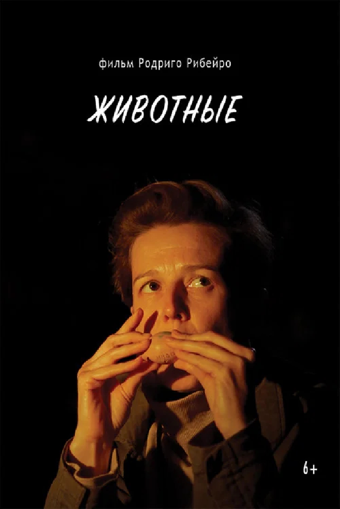 Животные