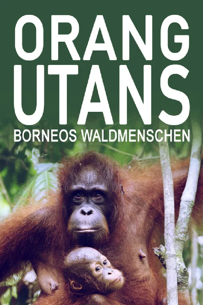 Orang-Utans - Borneos Waldmenschen