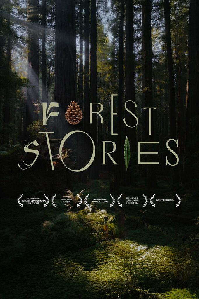 Forest Stories