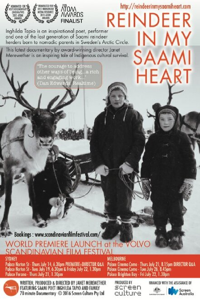 Reindeer In My Saami Heart