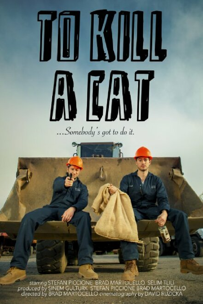 To Kill a Cat