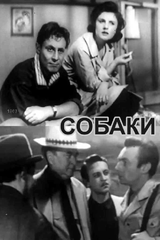 Собаки