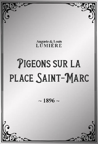 Pigeons sur la place Saint-Marc