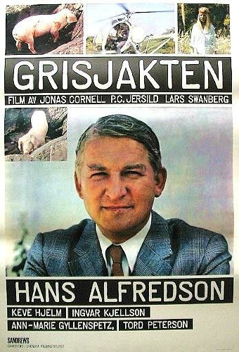 Grisjakten
