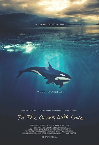 To the Orcas with Love