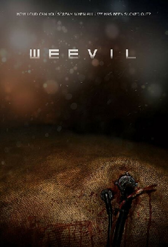 Weevil