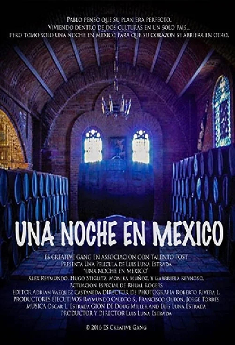 One Night In Mexico