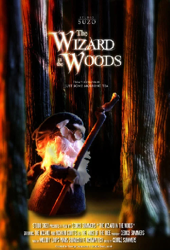 The Wizard in the Woods