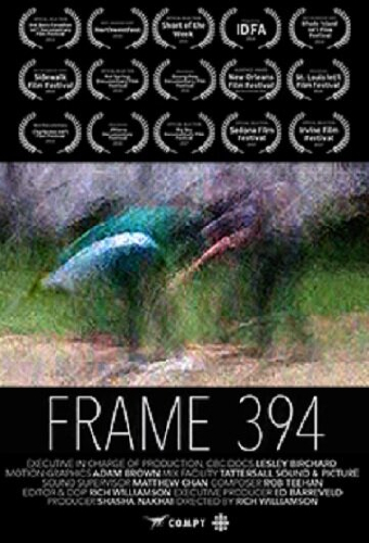 Frame 394