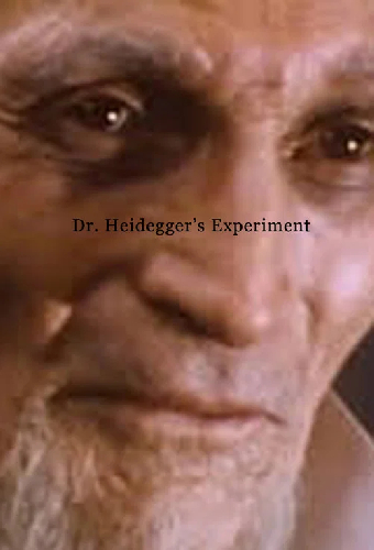 Dr. Heidegger's Experiment