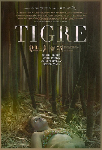 Тигр