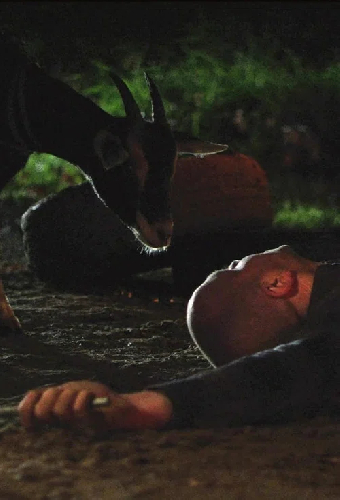 Goatman of Kananaskis