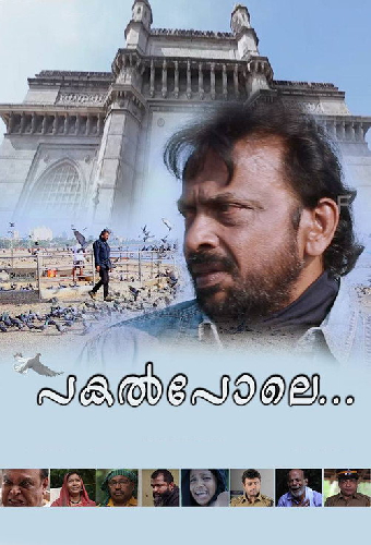 പകല്‍പോലെ...