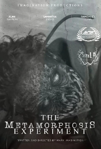 The Metamorphosis Experiment